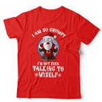 Christmas Grumpy Santa T Shirt Unisex