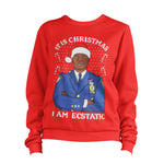 Holt I Am Ecstatic Christmas 99 Precinct Ugly Sweatshirt Unisex