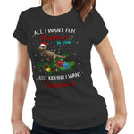 All I Want For Christmas Is You Tshirt Fitted Ladies