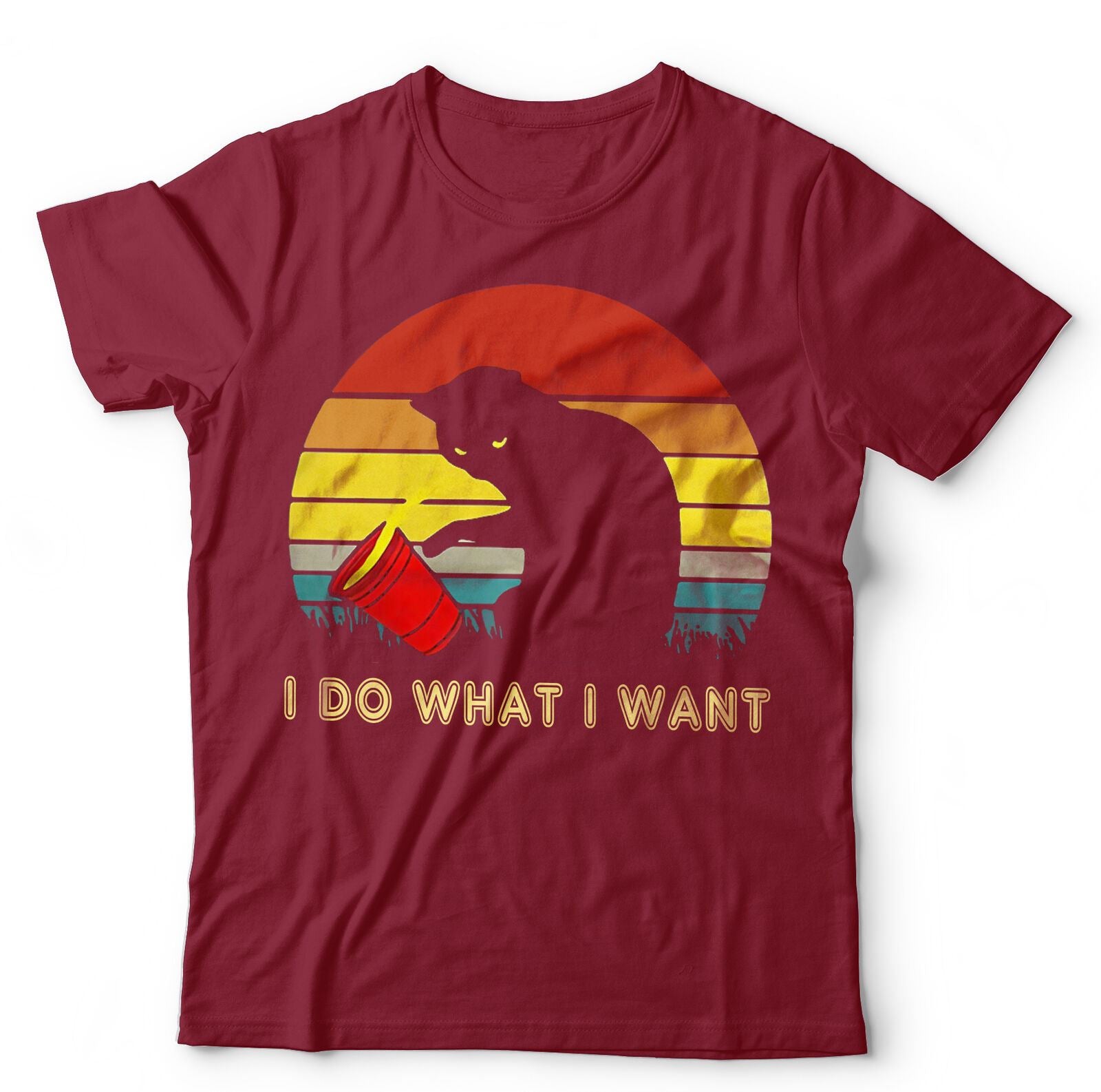 I Do What I Want Tshirt Unisex