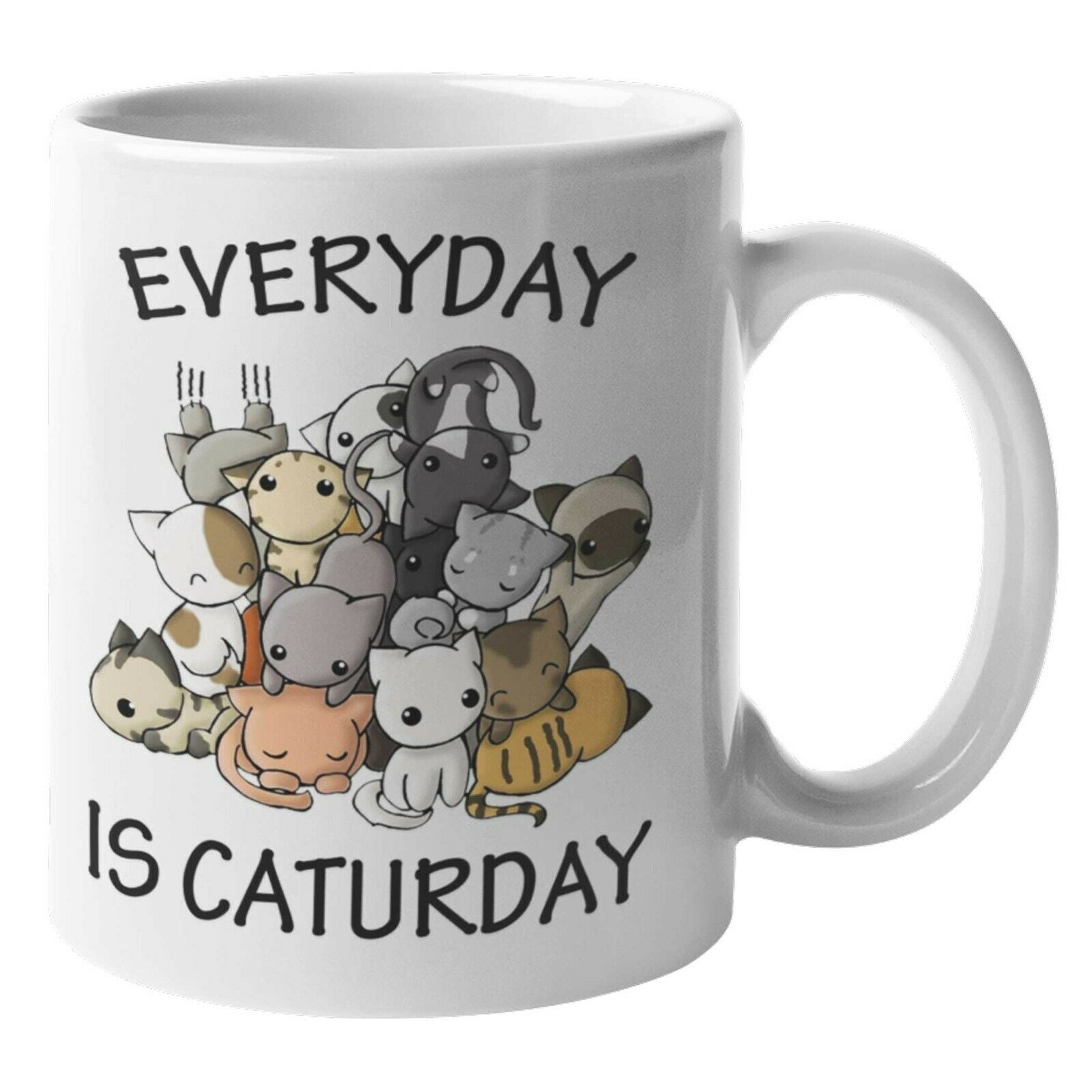 Everyday Is Caturday Mug