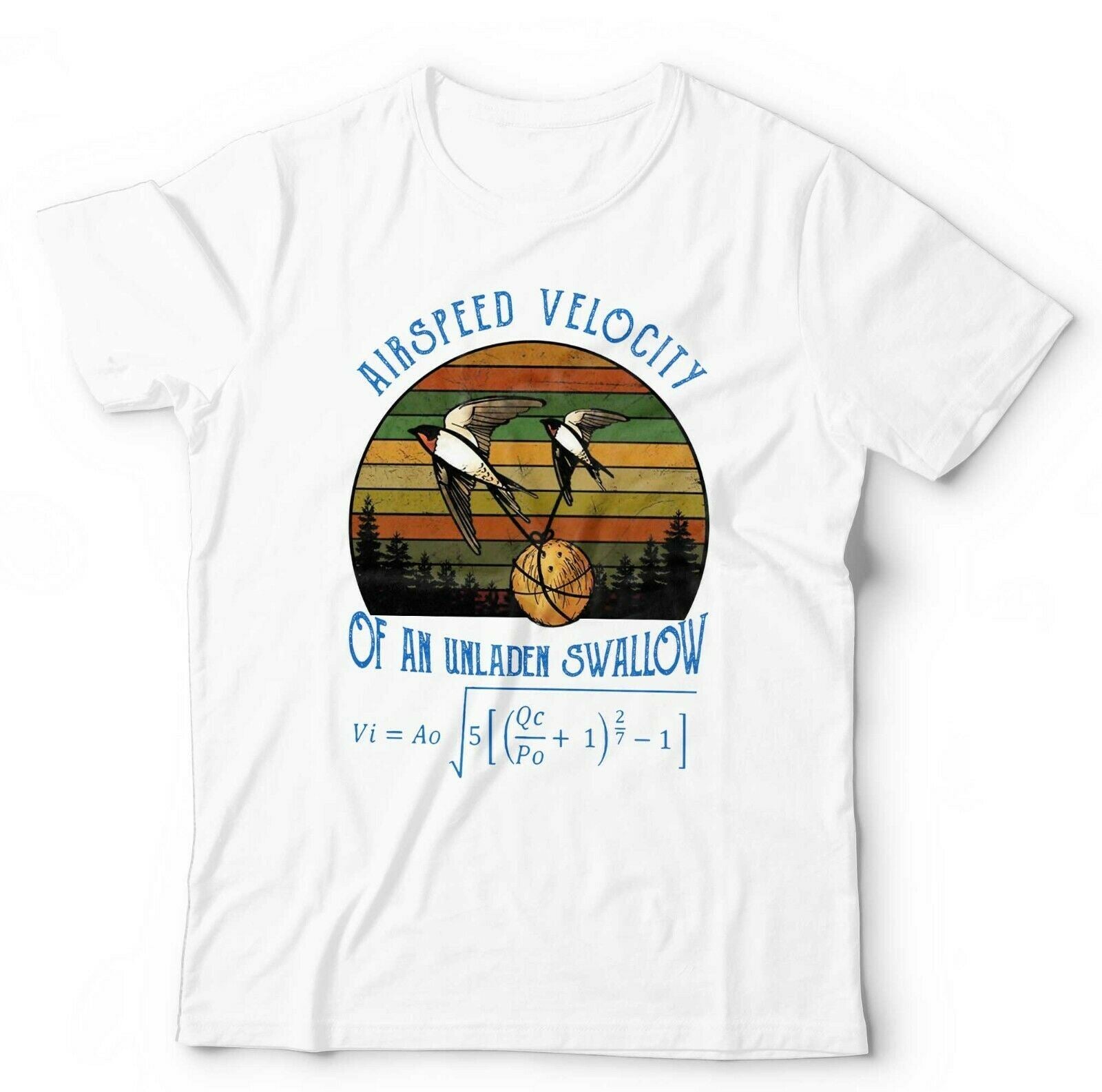 Airspeed Velocity Of An Unladen Swallow Monty Python Tshirt Unisex