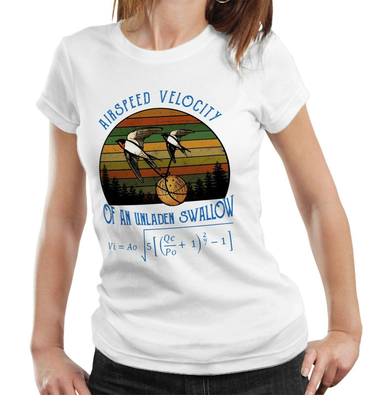 Airspeed Velocity Of An Unladen Swallow Monty Python Tshirt Ladies