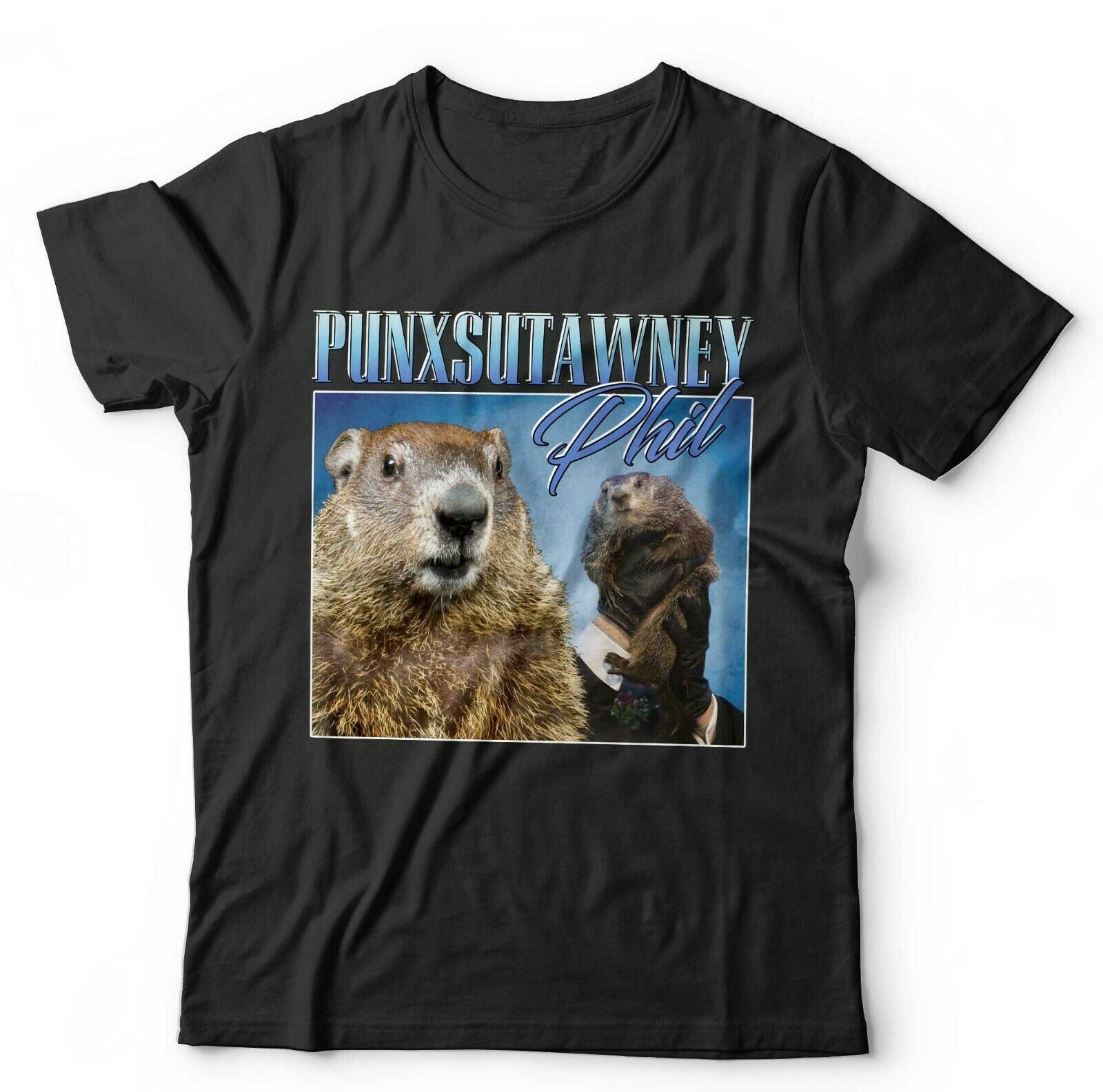 Punxsutawney Phil Appreciation Tshirt Unisex & Kids
