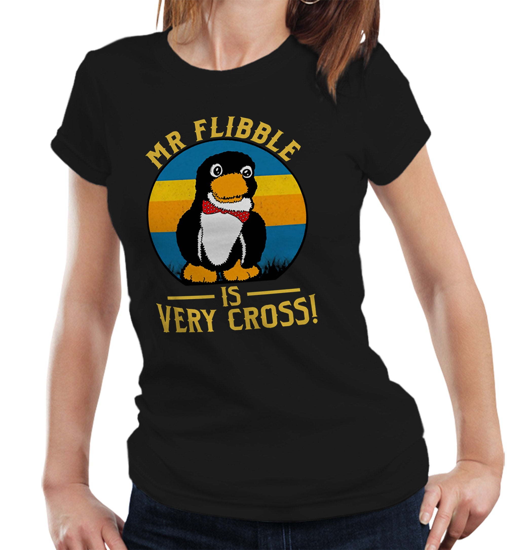 Mr Flibble Is Very Cross T Shirt Ladies