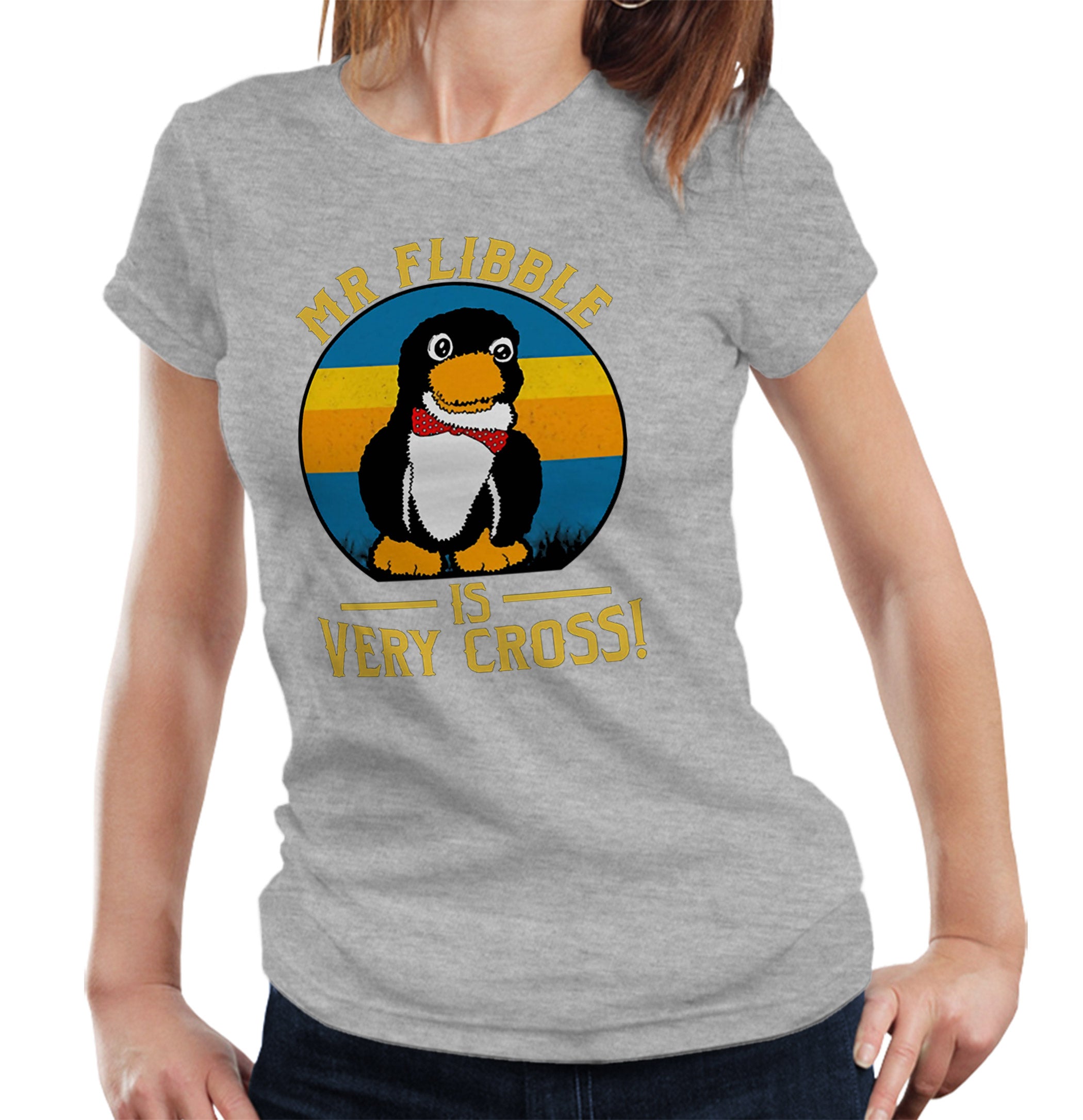 Mr Flibble Is Very Cross T Shirt Ladies